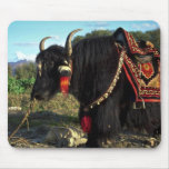 Tourist yak, Tibet Mousepad