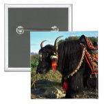 Tourist yak, Tibet Pinback Button