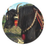 Tourist yak, Tibet Round Stickers