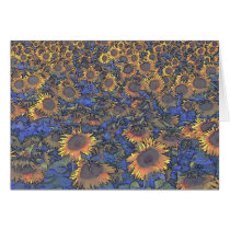 tournesol cards