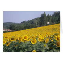 Tournesols 4 cards by Riviere Tournesols 4 cards