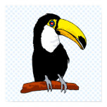 Tournival Toucan Print