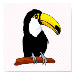 Tournival Toucan Posters