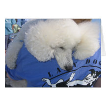 Tov Hugging Greeting Card