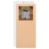 Towel Elephant with Sunglasses Rack Cards