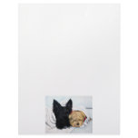 Toweling Off! Scottie and Yorkie Buddies Letterhead Design