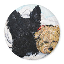 Toweling Off! Scottie and Yorkie Buddies Magnet