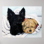 Toweling Off! Scottie and Yorkie Buddies Poster