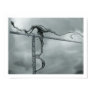 Towering 2, Fine Art Prin...