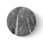 Towering Aspen Trees In Black and White buttons