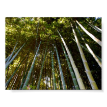 Towering Bamboos Poster posters by pulsDesign Towering Bamboos Poster posters
