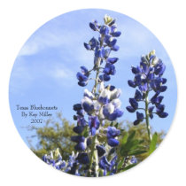 Towering Texas Blue Bonnets Round Sticker