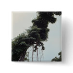Towering tree and vines in jungle pinback buttons