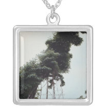 Towering tree and vines in jungle pendants