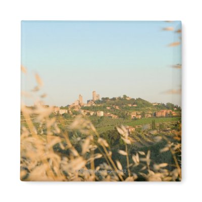 Zazzle