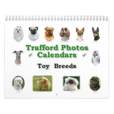 Toy Breeds Calendar by TraffordPhotos