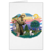 Toy Fox Terrier Cards