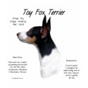 Toy Fox Terrier History Design t-shirts