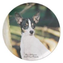 Toy Fox Terrier Party Plate