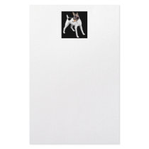 Toy Fox Terrier Stationery