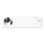 Toy Pomeranian Bumper Sticker