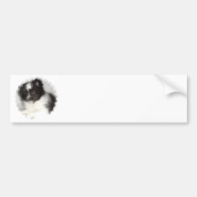 Toy Pomeranian Bumper Sticker