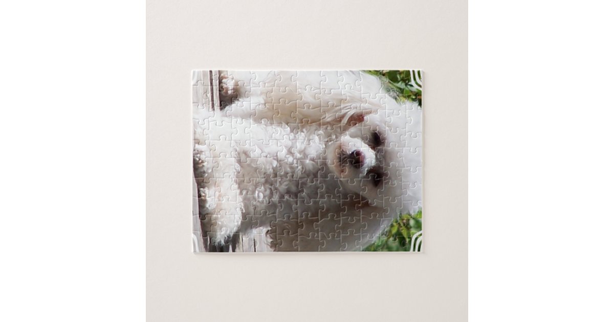 Toy Poodle Jigsaw Puzzle Zazzle