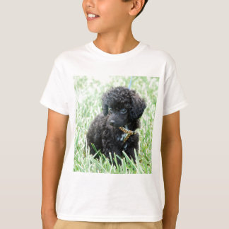 toy poodle t shirts