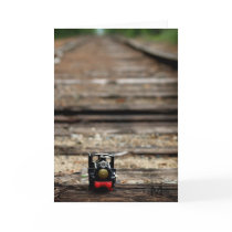 Toy Train cards