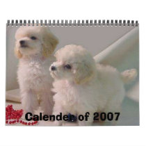 TOYPOODLEPUPStwo_pups1b[1], Calender of 2007 calendars