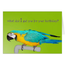 Toys for Me cards