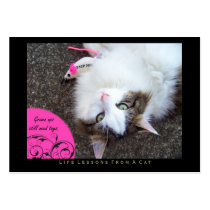 Toys Life Lessons From a Cat ACEO Art Trading Card Business Card
