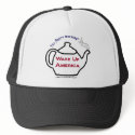 TP0101 Tea Party Wake Up America Hat