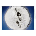 Traces of Winter Cards