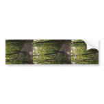 Track, Pathway, Trail, Forest, Trees, Attractive, Bumper Stickers