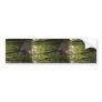 Track, Pathway, Trail, Forest, Trees, Attractive, Bumper Stickers