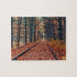 Track Through a Forest Puzzle puzzles