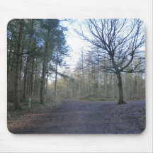 Track Through Delaware Forest in Cheshire Mouse Pads