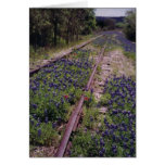 Tracks and Bluebonnets card