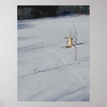 Tracks in Snow ~ print