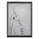Tracks Note Card