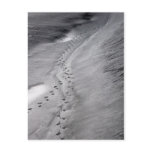 tracks postcard