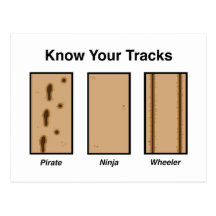Tracks Postcard