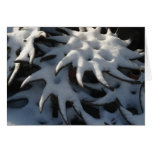 Tractor Cultivator Snow Art Christmas Card