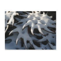Tractor Cultivator Wheel Christmas Postcard by jplamer Tractor Cultivator Wheel Christmas Postcard