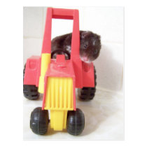 tractor driving noah postcard