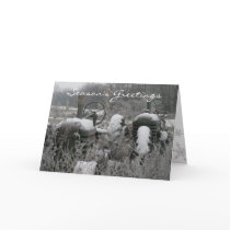 Tractor Season's Greetings Christmas Card