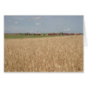 Tractors in Wheat Field Card