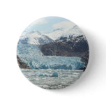 Tracy Arm Fjord buttons