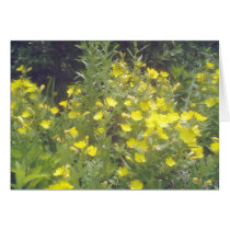 Tracy Likes Yellow! cards by TagGal Tracy Likes Yellow! cards